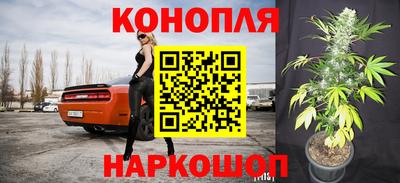 Альфа ПВП Чапаевск
